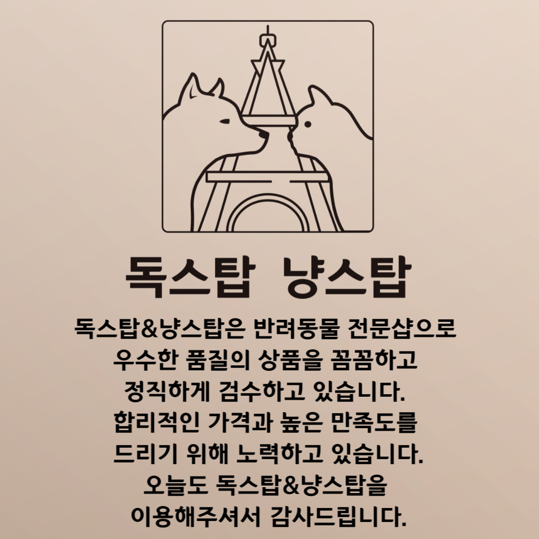 독스탑